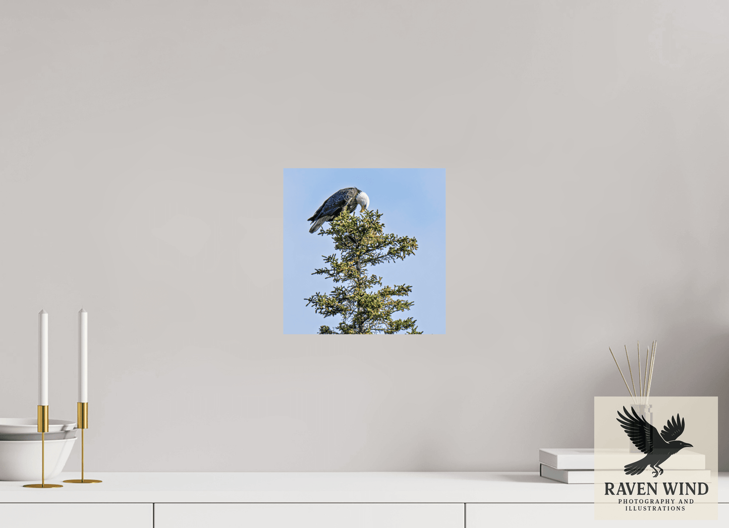 10 x 10.2″, Fine Art Print on Photo Rag Baryta - unframed (email for frame options) Silent Sentinel - Bald Eagle in Alaska's Pines Nature Photography Print