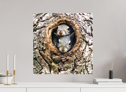 Curious Peek Nature Photography Print