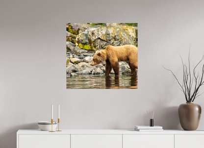 Looking for Dinner Nature Photography Print
