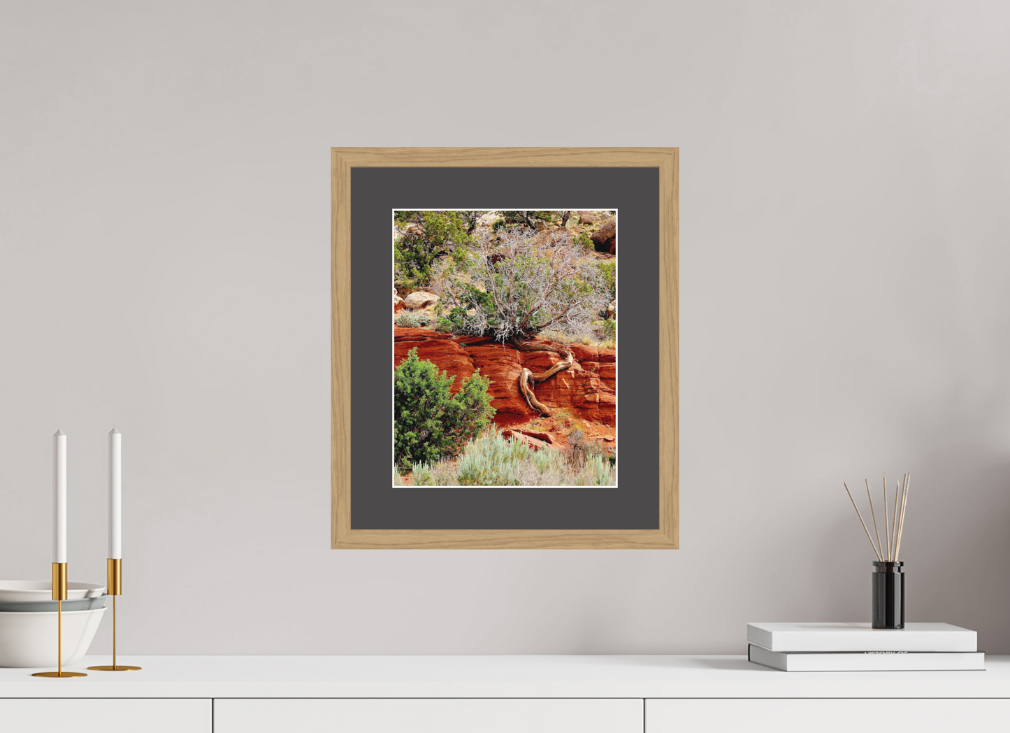 Resilient Roots – Twisted Tree in Red Rock Desert Fine Art Print