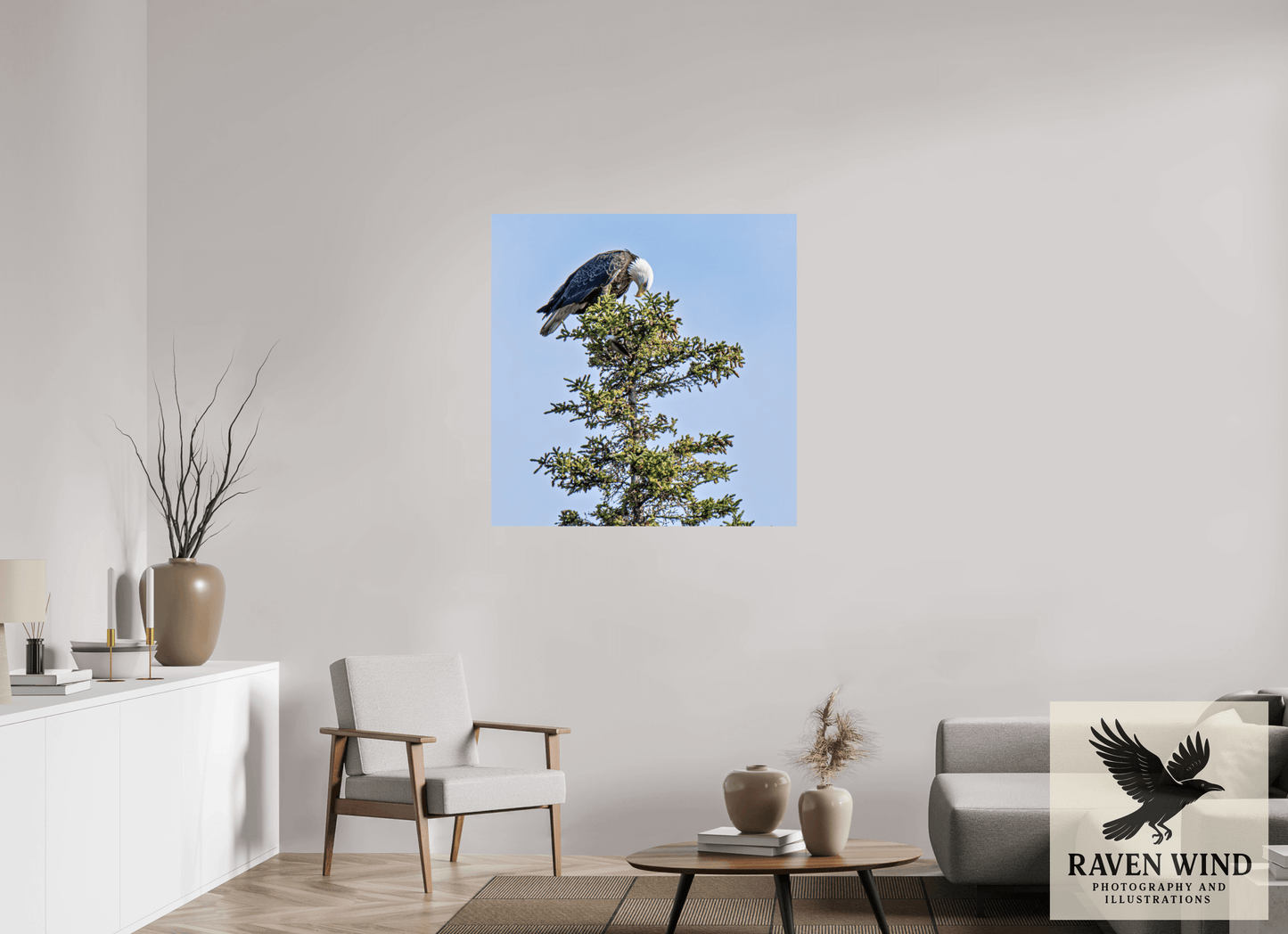 39 x 39.9″, Photo Print On Fuji Crystal DP II - unframed Silent Sentinel - Bald Eagle in Alaska's Pines Nature Photography Print