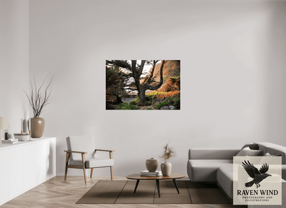 54 x 36″, Photo Print On Fuji Crystal DP II - unframed Sunset Glow Fine Art Nature Photography Print