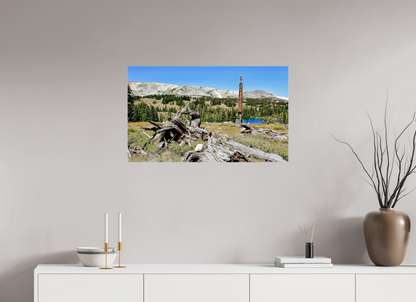 Standing Bear Tree – Bear Lake, Colorado