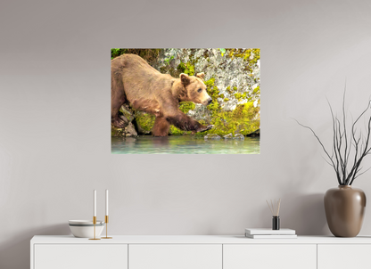 Momma on a Mission Nature Photography Print