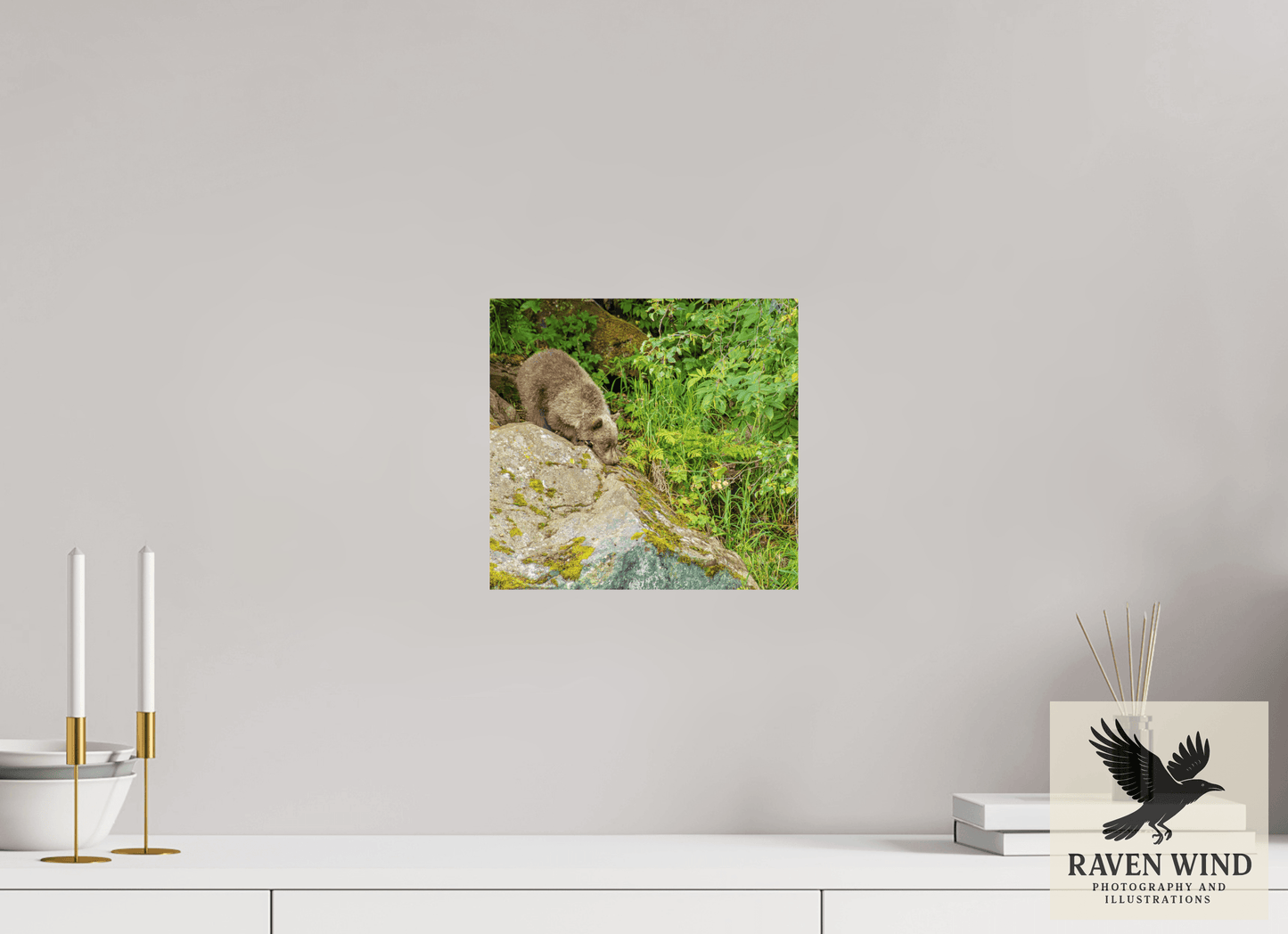 10.6 x 10″, Fine Art Print on Pearl Texture - unframed (email for frame options) Learning the Ropes Nature Photography Print