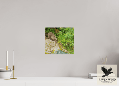 10.6 x 10″, Fine Art Print on Pearl Texture - unframed (email for frame options) Learning the Ropes Nature Photography Print