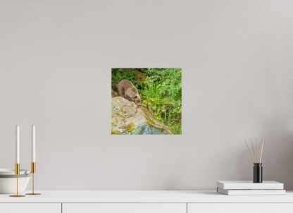 Learning the Ropes Nature Photography Print