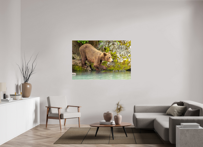 Testing the Waters Nature Photography Print