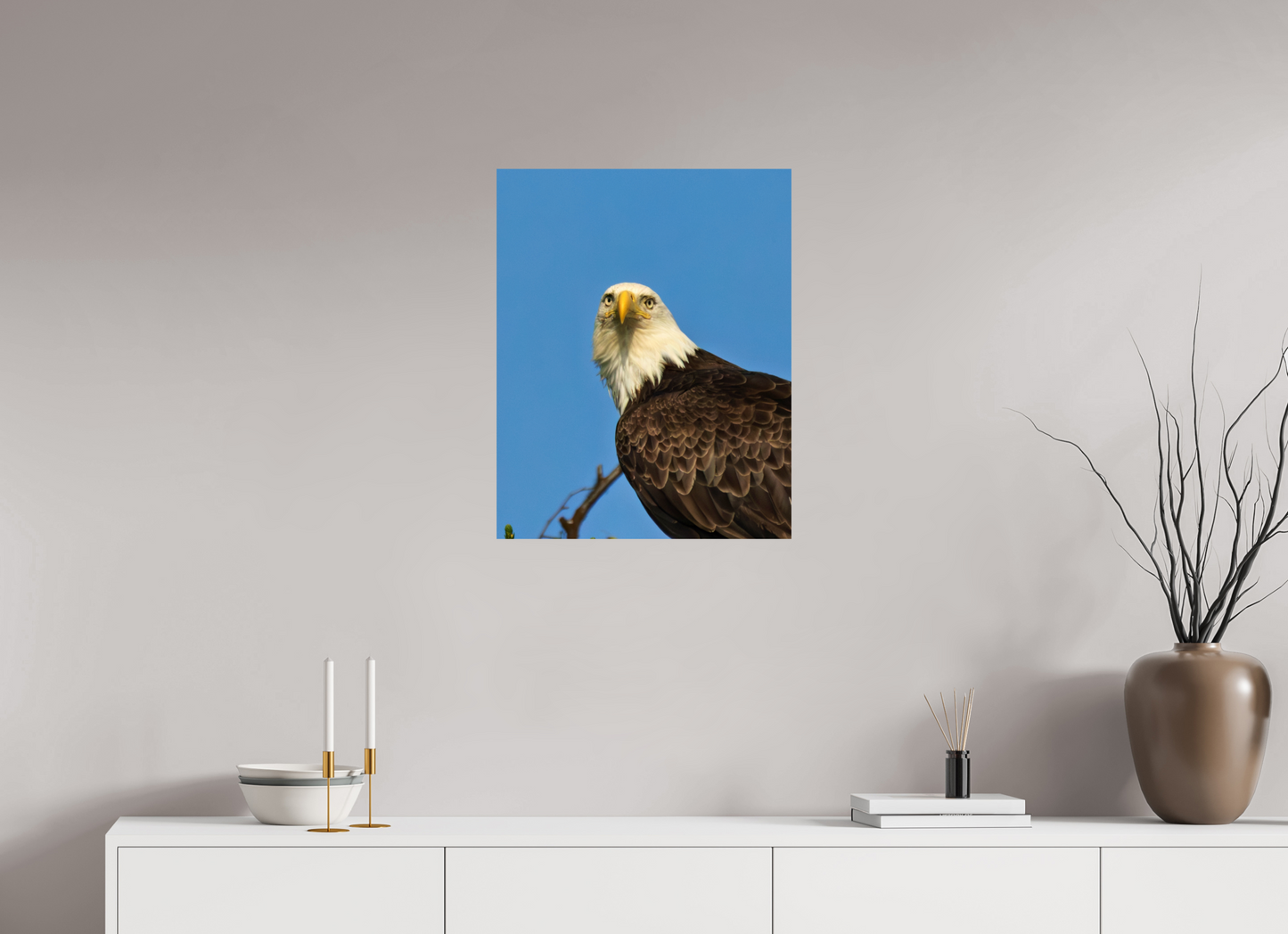 Eyes of the Wild – Bald Eagle in Alaska’s Wilderness Nature Photography Print