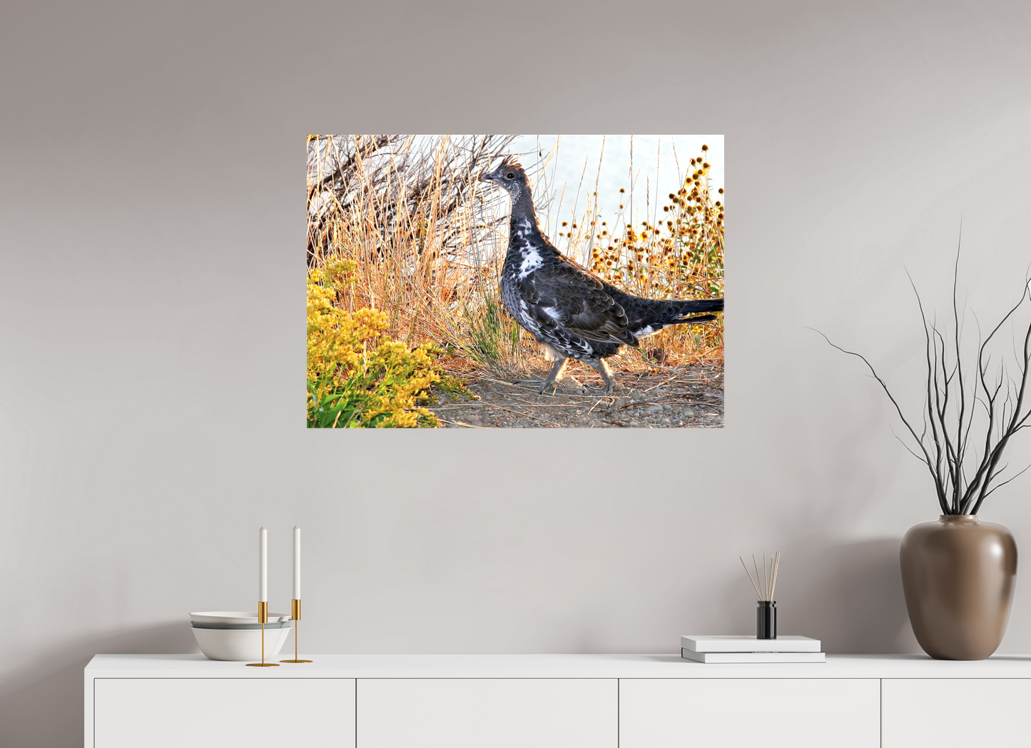 Grounded Grace – Fine Art Print of a Wild Grouse