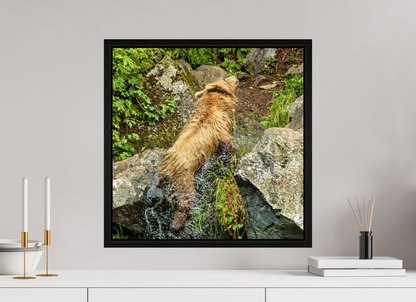 The Shake Nature Photography Print