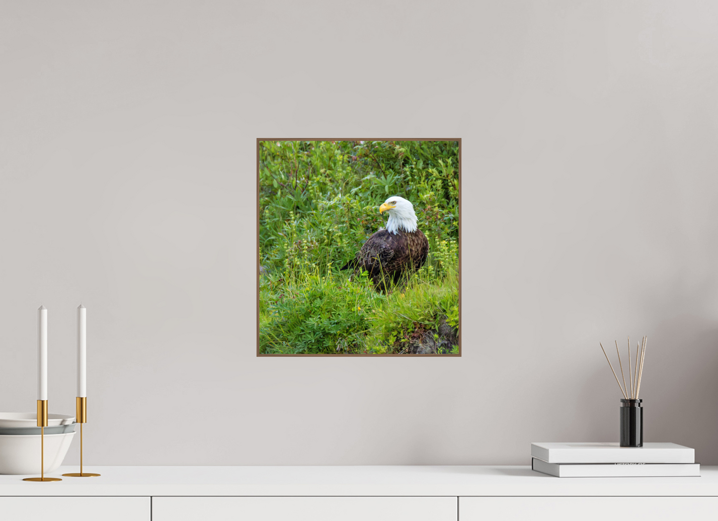 Grounded Majesty – Bald Eagle in Alaska’s Wilderness Nature Photography Print