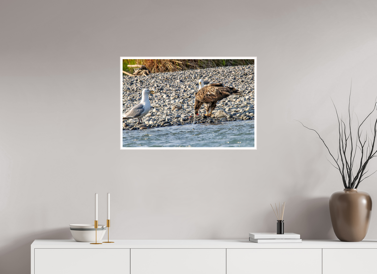 Mine? Mine? – Bald Eagle and Seagull Shoreline Standoff Nature Photography Print