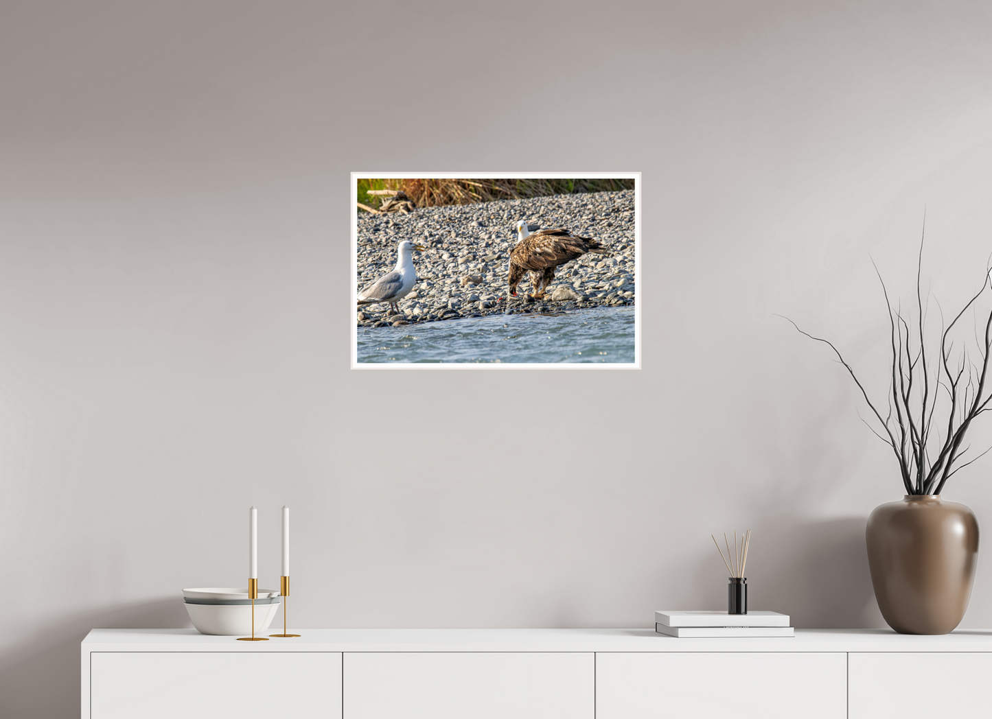 Mine? Mine? – Bald Eagle and Seagull Shoreline Standoff Nature Photography Print
