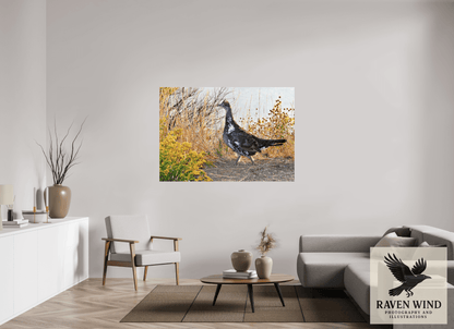 61.5 x 43″, ChromaLuxe HD Metal Print - ready to hang Grounded Grace - a Wild Grouse Nature Photography Print