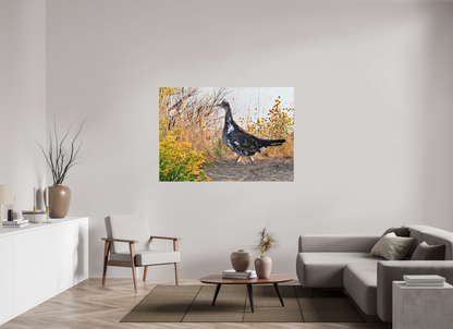 Grounded Grace – Fine Art Print of a Wild Grouse