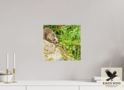 12.7 x 12″, Print on Canvas - ready to hang or set on a shelf Learning the Ropes Nature Photography Print