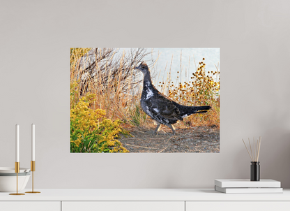 Grounded Grace – Fine Art Print of a Wild Grouse