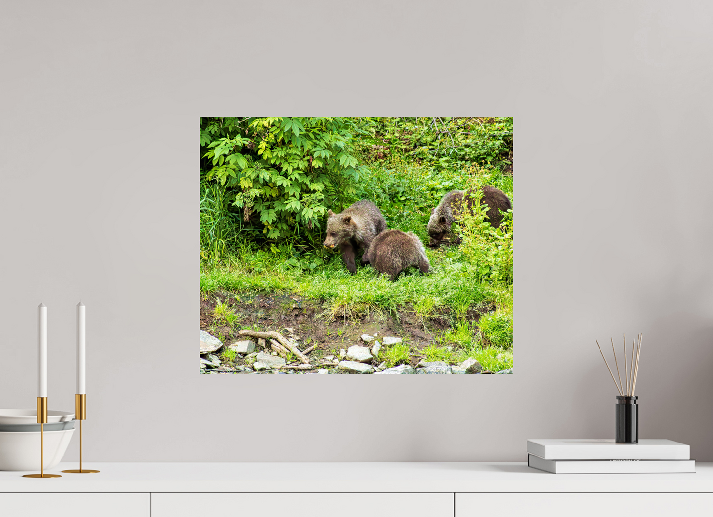 Brown Bear Triplets