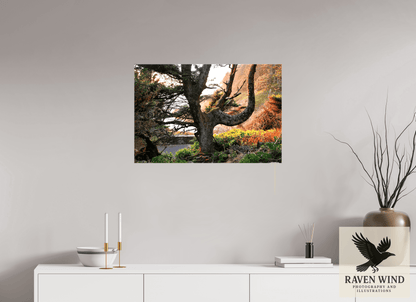 30 x 20″, Print on Canvas - ready to hang or set on a shelf Sunset Glow Fine Art Nature Photography Print