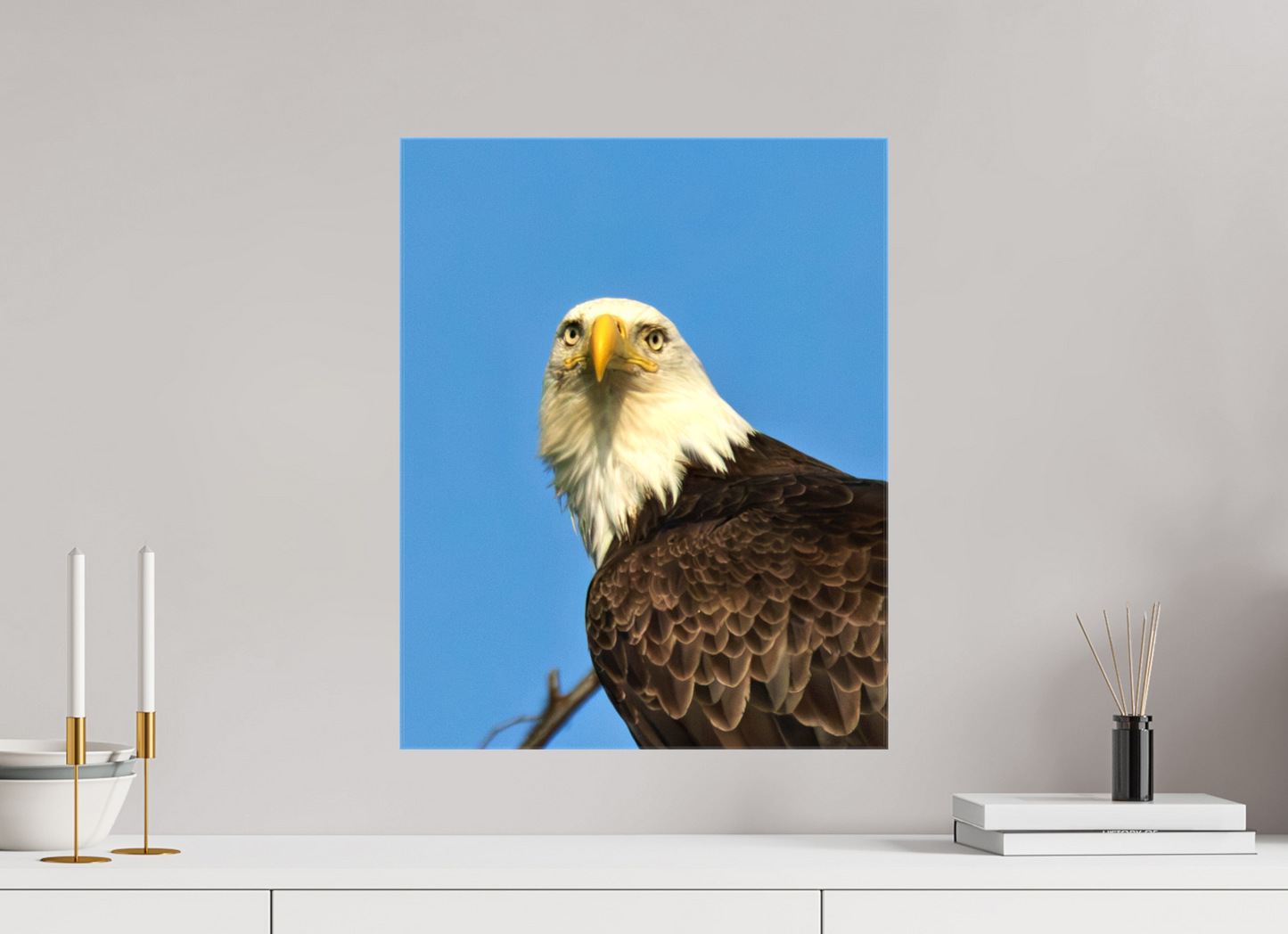 Eyes of the Wild – Bald Eagle in Alaska’s Wilderness Nature Photography Print