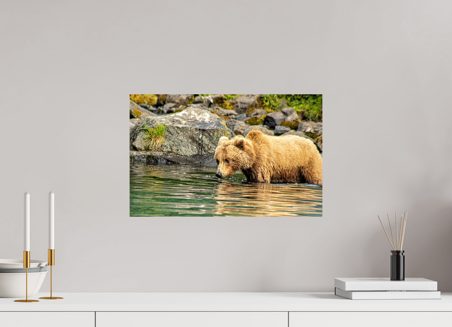 Wild Focus Nature Photography Print