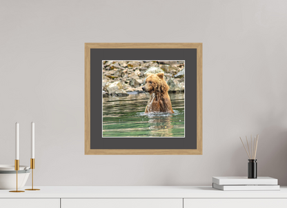 Missed the Catch - but not the moment! Nature Photography Print