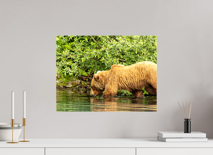 Fishing Takes Patience Nature Photography Print