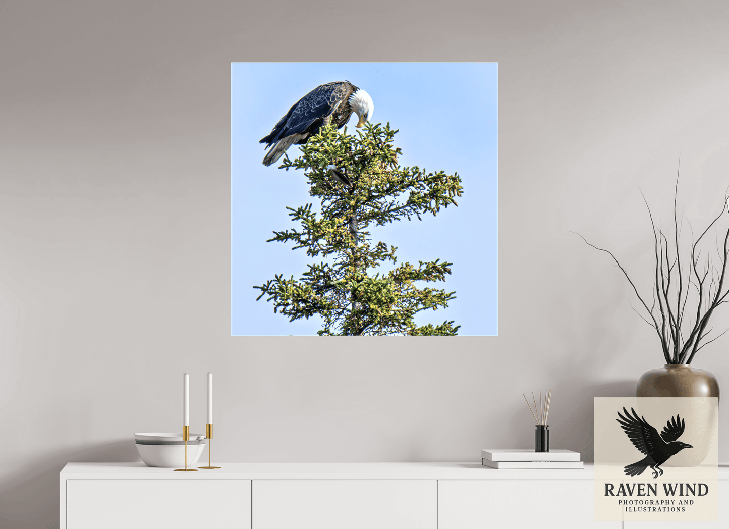 31 x 31.7″, Print on Canvas - ready to hang or set on a shelf Silent Sentinel - Bald Eagle in Alaska's Pines Nature Photography Print
