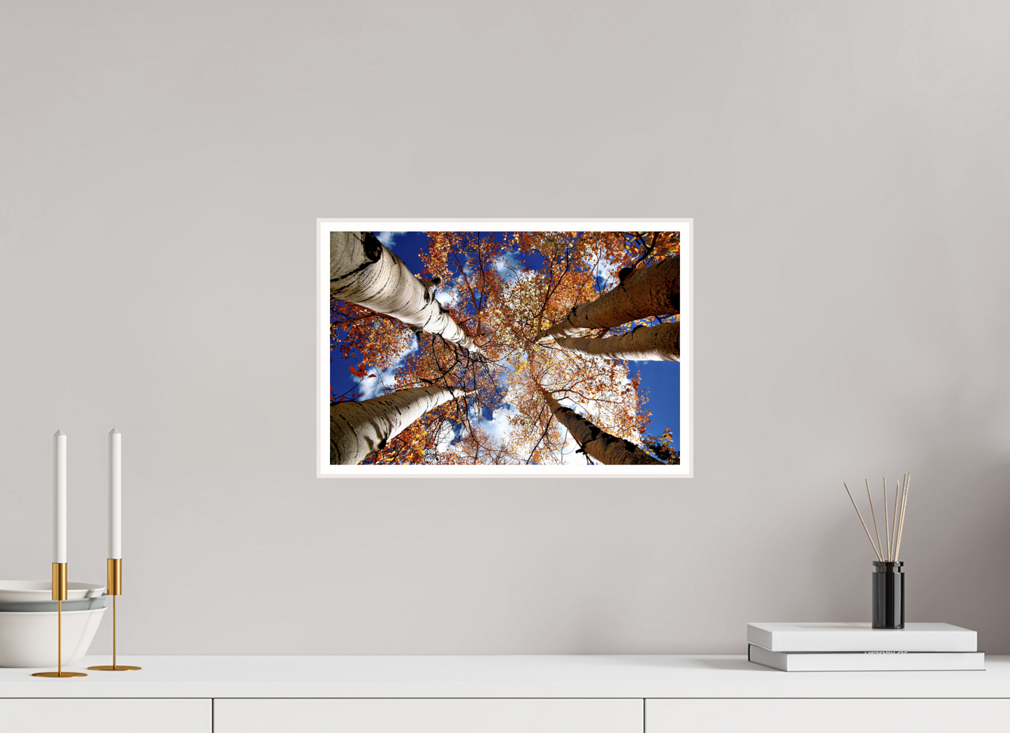 Reaching for the Sky – Where Aspens Whisper to the Clouds Nature Photography Print