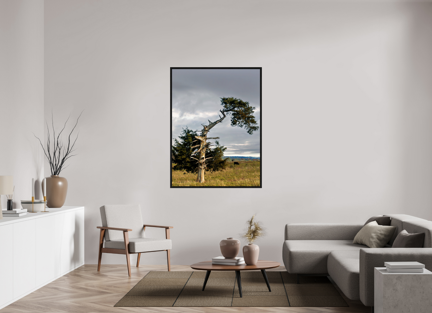 42 x 56″, Floater Framed with Black Oak The Cedar That Weathered It All Nature Photography Print