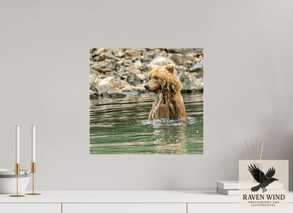 17.2 x 16″, Photo Print Under Acrylic Glass - ready to hang Missed the Catch - but not the moment! Nature Photography Print
