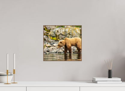 Looking for Dinner Nature Photography Print