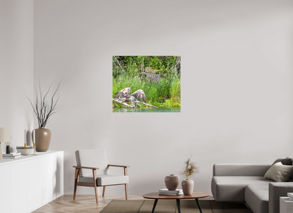 Skimming the Wild – Juvenile Bald Eagle Over the Kasilof River, Nature Photography Print