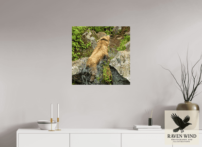 25 x 25″, Photo Print Under Acrylic Glass - ready to hang The Shake Nature Photography Print