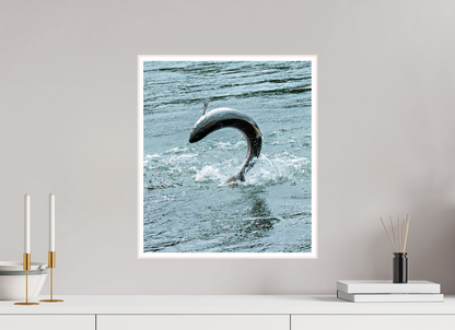 Hooked on the Wild Nature Photography Print