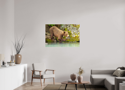 Testing the Waters Nature Photography Print