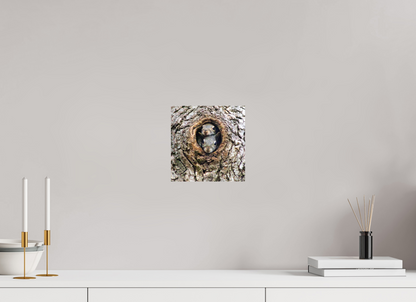 Curious Peek Nature Photography Print