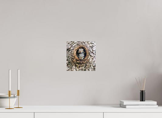 Curious Peek Nature Photography Print