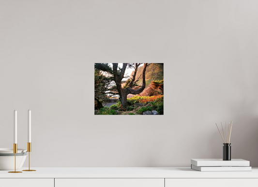 Sunset Glow Fine Art Nature Photography Print