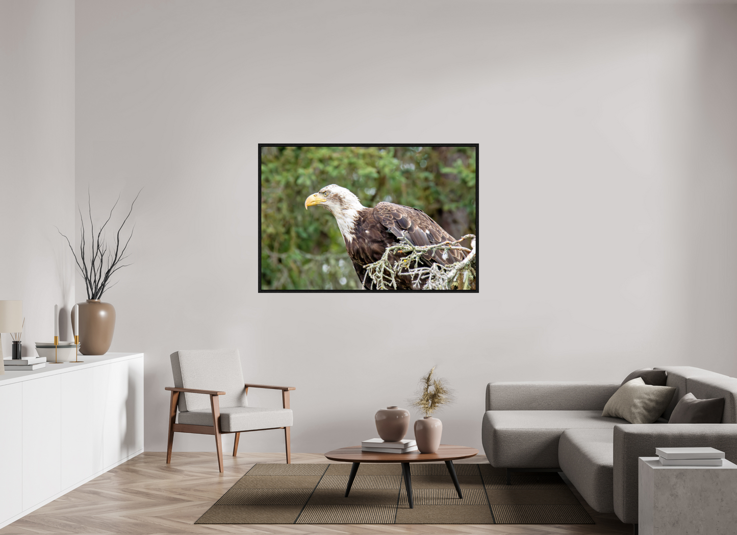 Majestic Watch – Bald Eagle on the Kenai Peninsula Nature Photography Print