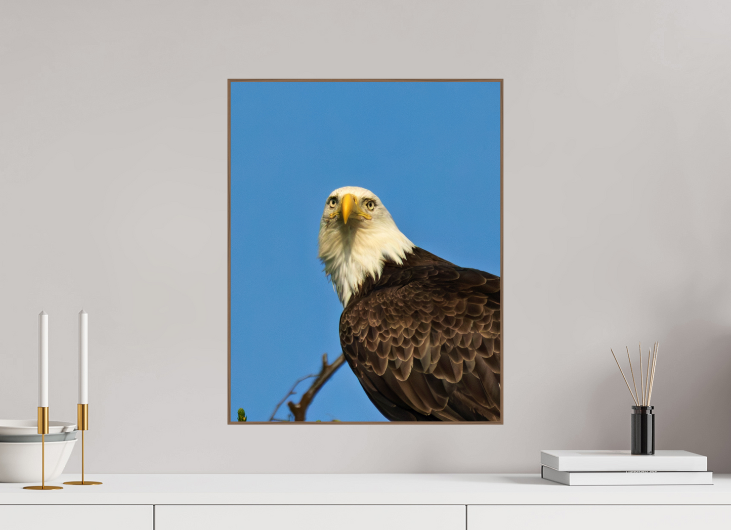 Eyes of the Wild – Bald Eagle in Alaska’s Wilderness Nature Photography Print