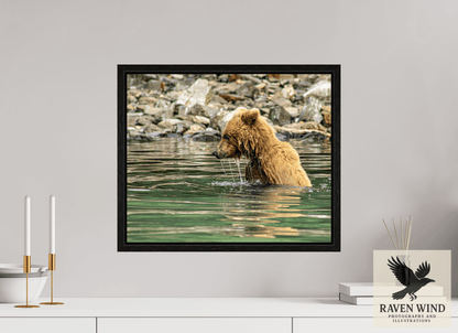19.4 x 16″, Floater Frame - black oak frame - ready to hang Eye on the Prize Nature Photography Print
