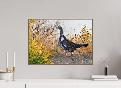 Grounded Grace – Fine Art Print of a Wild Grouse