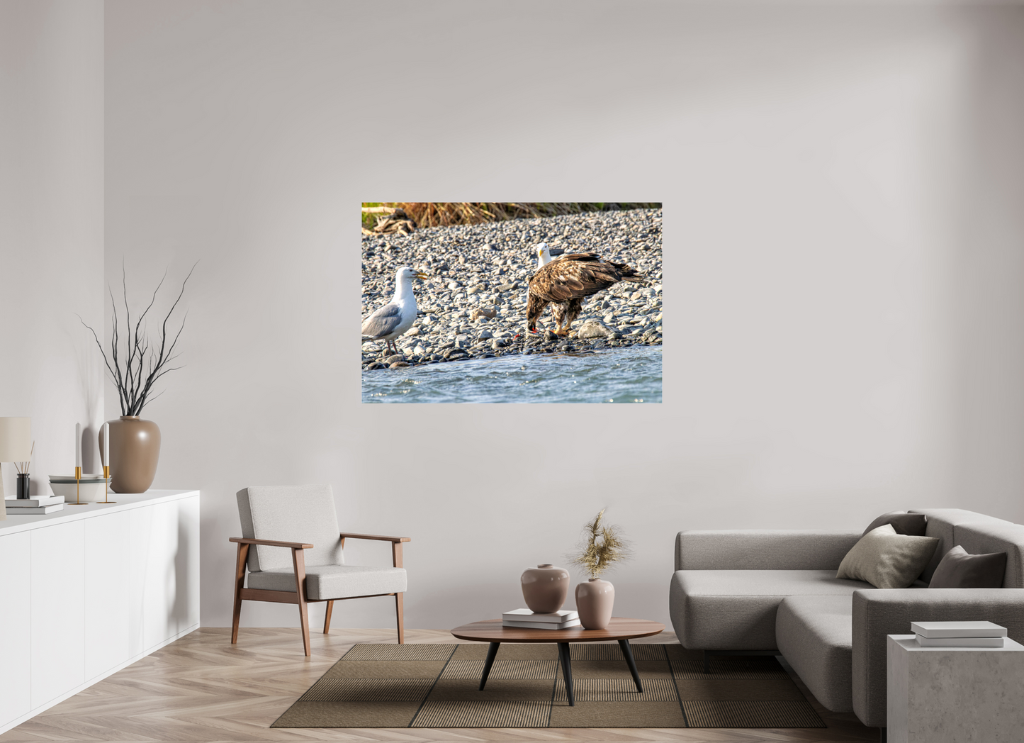 Mine? Mine? – Bald Eagle and Seagull Shoreline Standoff Nature Photography Print