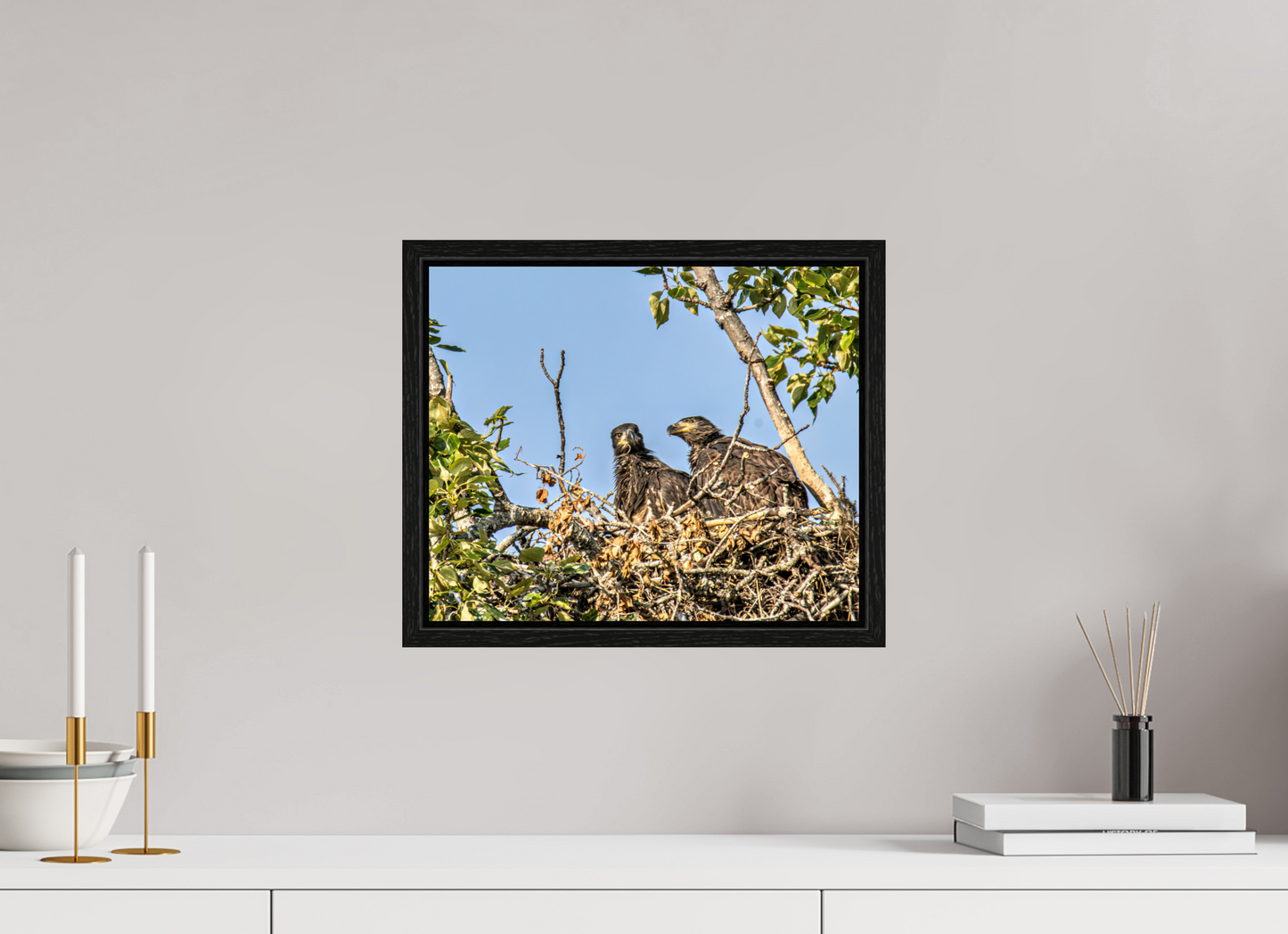 Nestmates – Young Eagles in a Woodland Home – Nature Photography Print