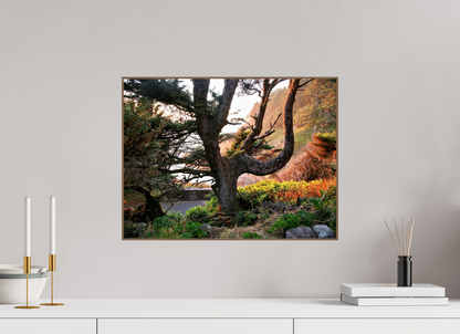 Sunset Glow Fine Art Nature Photography Print