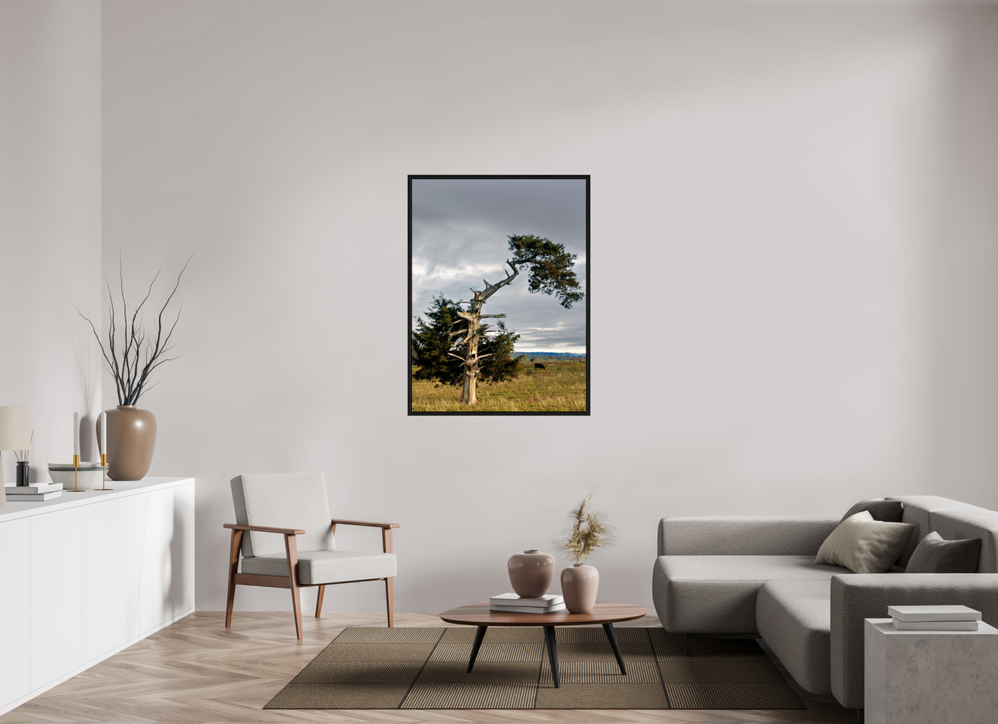 36 x 48″, Floater Framed with Black Oak The Cedar That Weathered It All Nature Photography Print