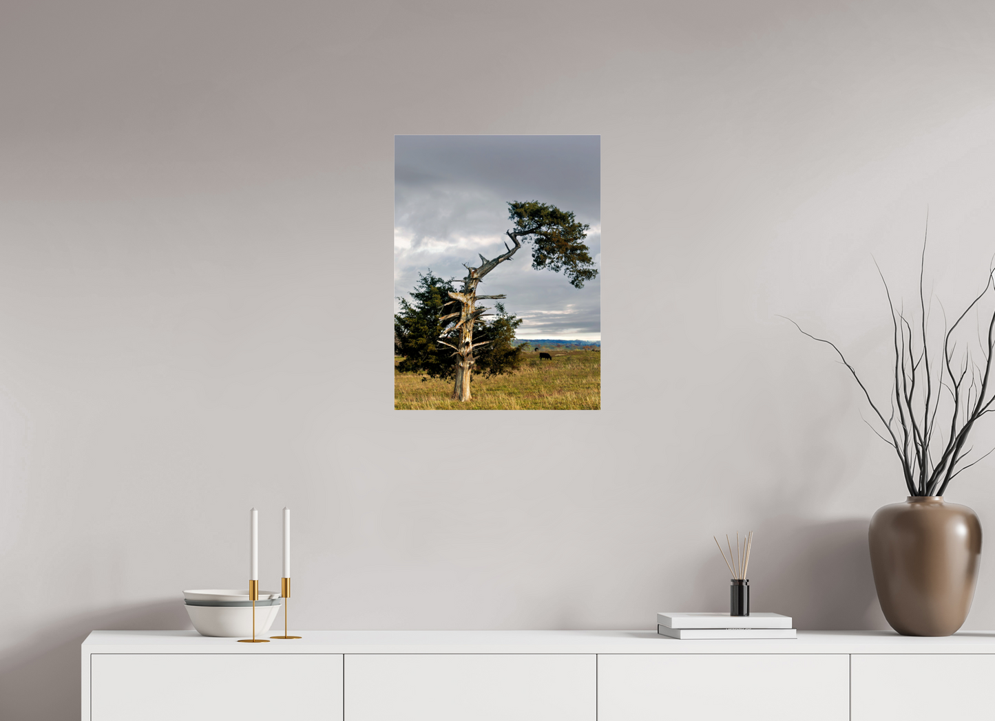 18 x 24″, Photo Print Under Acrylic Glass - Not Framed -Ready to hang The Cedar That Weathered It All Nature Photography Print