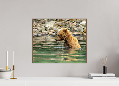 Eye on the Prize Nature Photography Print